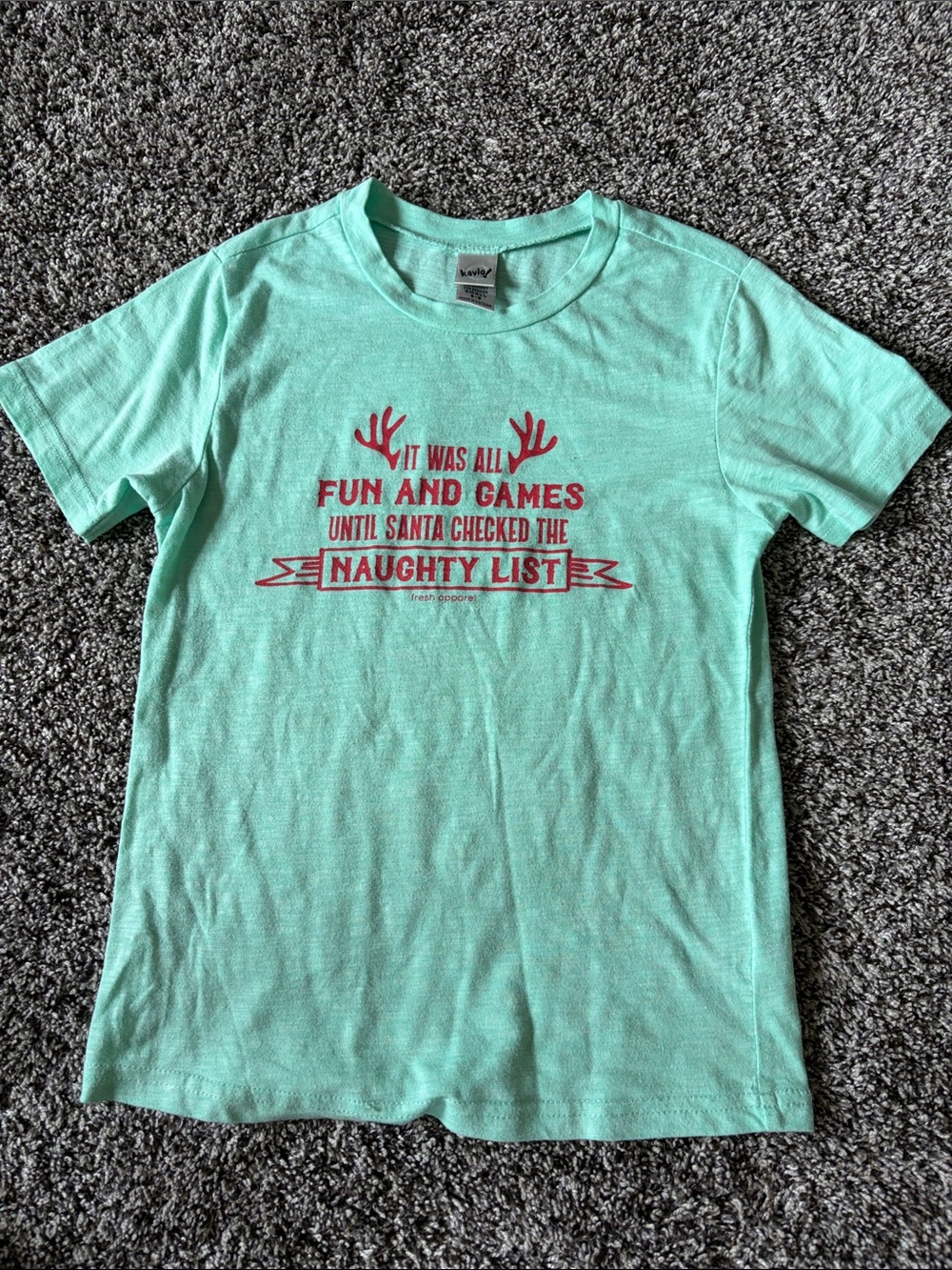 Hanes Kids Mint Green Short Sleeve Holiday Graphic Tee with Red Print
